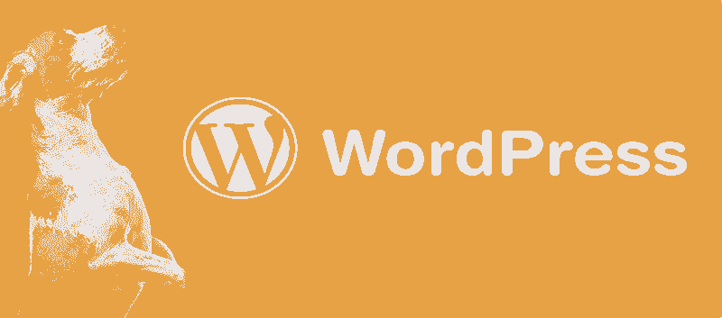 CLAVES DE USAR WORDPRESS